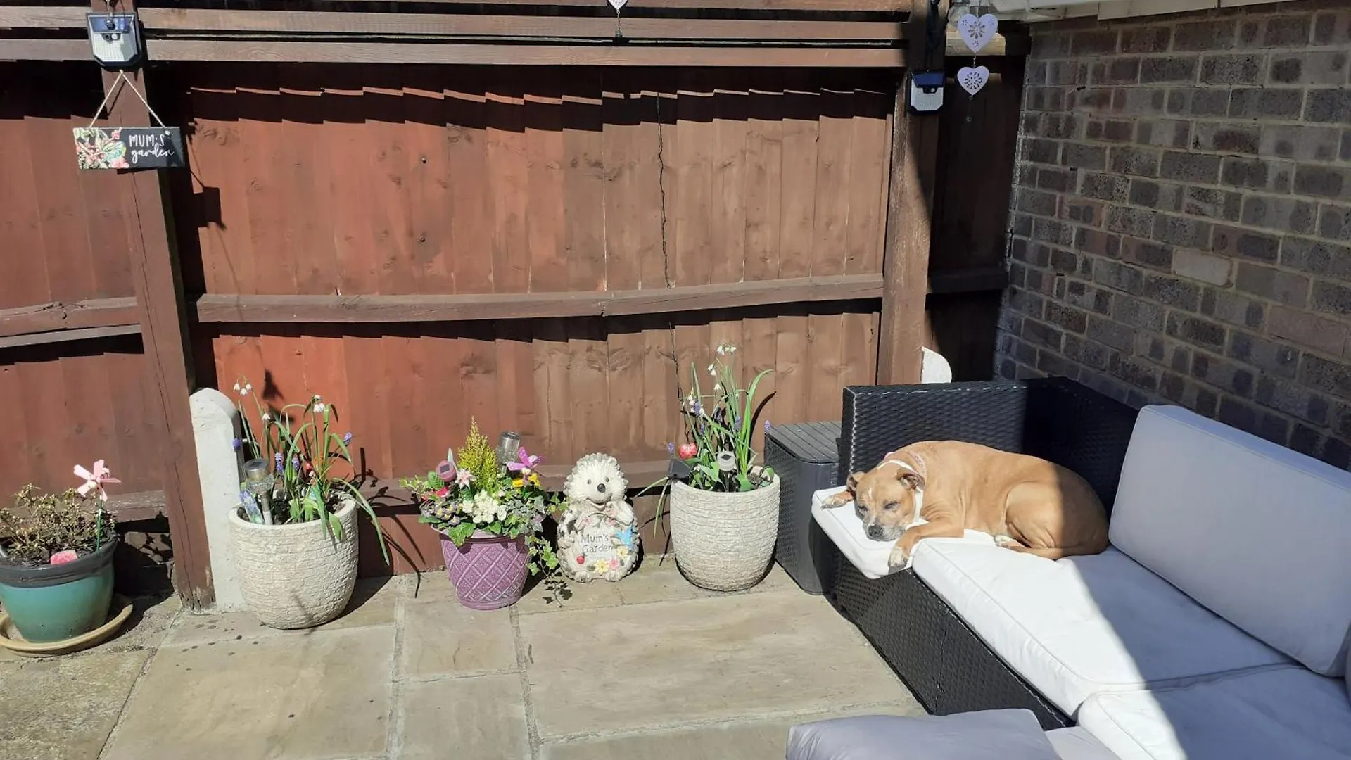 Home From Home Single Or Double Room Netflix Or Virgin Tv Wifi & Free Parking Poole Homestay